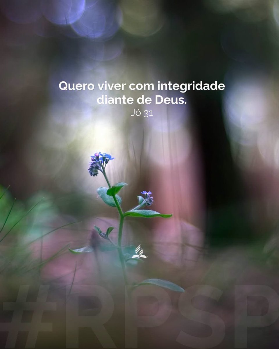 amazonasroraima's tweet photo. A fidelidade é construída nas escolhas que fazemos todos os dias. 

#RPSP #PrimeiroDeus #brasil https://t.co/i5SpKcWrQD