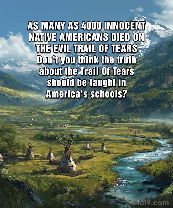 _nativeamerica's tweet photo. Say something.... https://t.co/g6cxOsZltp