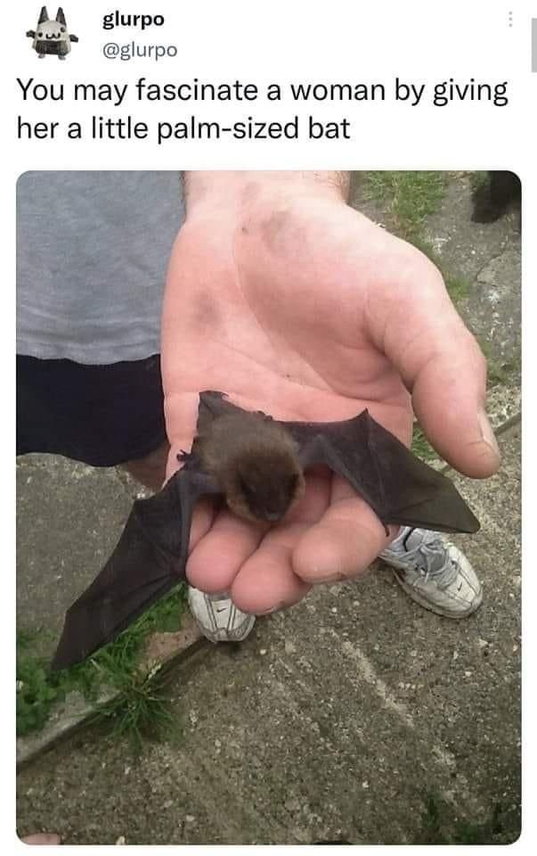 batincrisis's tweet photo. First date idea!!! 🦇 https://t.co/bAtfNc5HfU