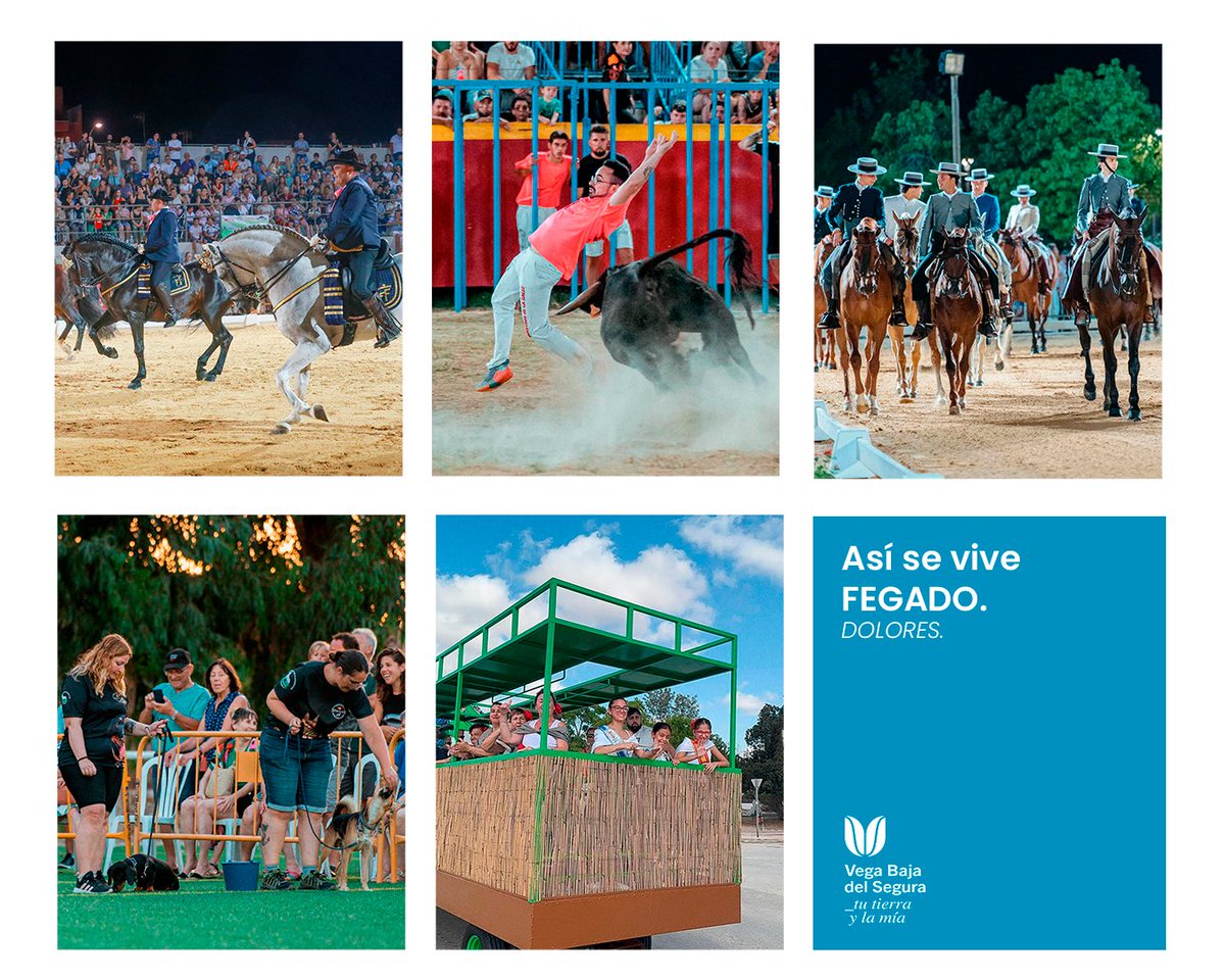 coMarcaVegaBaja's tweet photo. 🐴 FEGADO regresa a Dolores del 30 de julio al 3 de agosto.
Caballos, espectáculos, tradición y ambiente para disfrutar de una de las grandes citas del verano en la #VegaBajaDelSegura.

📍 Dolores
ℹ️https://t.co/abgGROPu1Y

#FEGADO #Dolores #Turismo #ComunitatValenciana https://t.co/x2yzJbT1jz