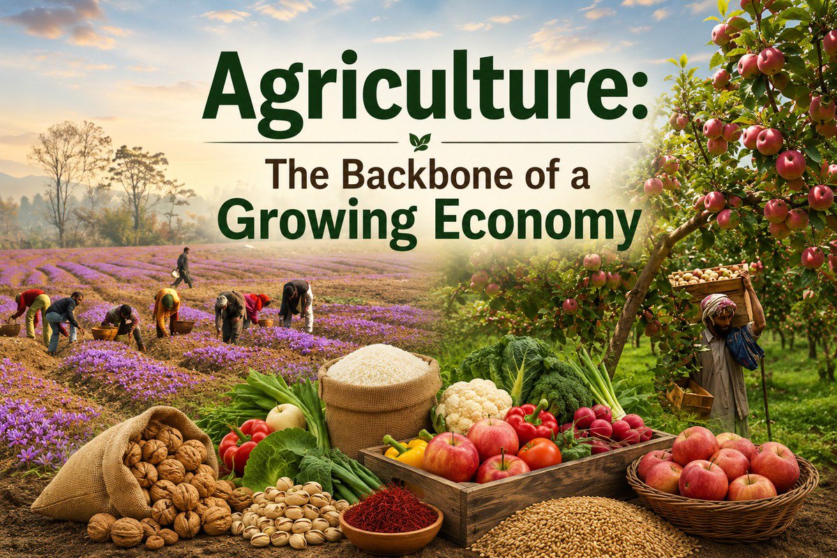 shee_subha66's tweet photo. Tourism supports regional economic resilience by creating opportunities across agriculture, handicrafts, logistics, retail, hospitality and recreatio. https://t.co/hBSocVCO4a