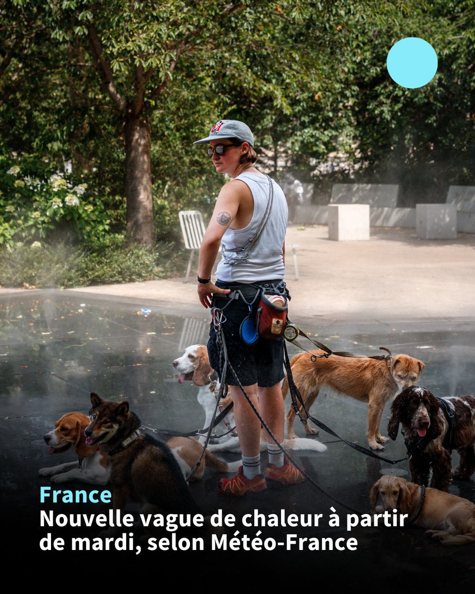 afpfr's tweet photo. 🇫🇷🌡️ France: le pays connaîtra à partir de mardi une "nouvelle vague de chaleur", avec des températures élevées défavorables à la lutte contre les feux, a confirmé ce lundi Météo-France. https://t.co/7AthlwY0VT