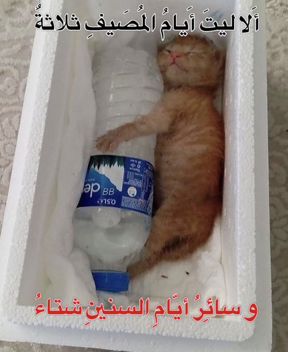 kl11lkl's tweet photo. https://t.co/lDilTiaqM9