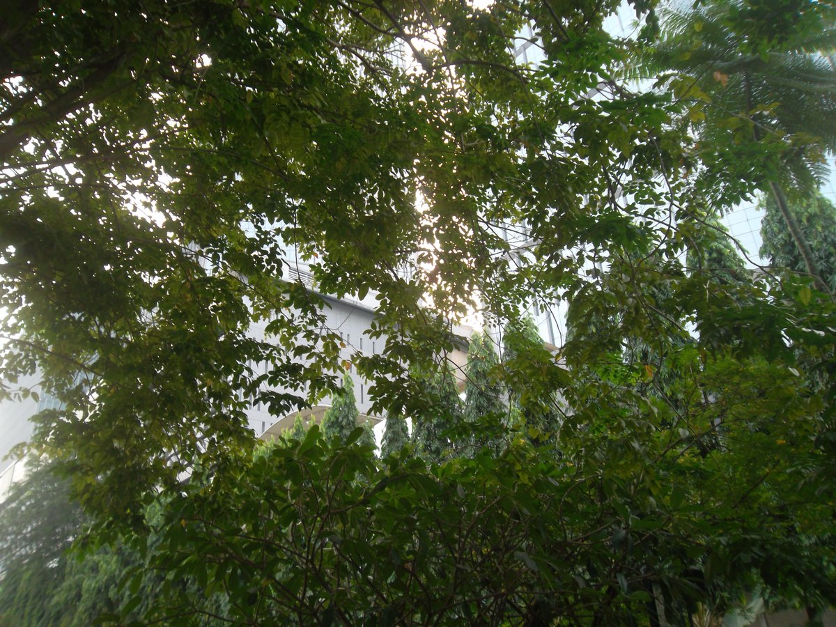retromoo_'s tweet photo. Hasil foto digicam samsung st65 #sooc https://t.co/N8i30YERoZ