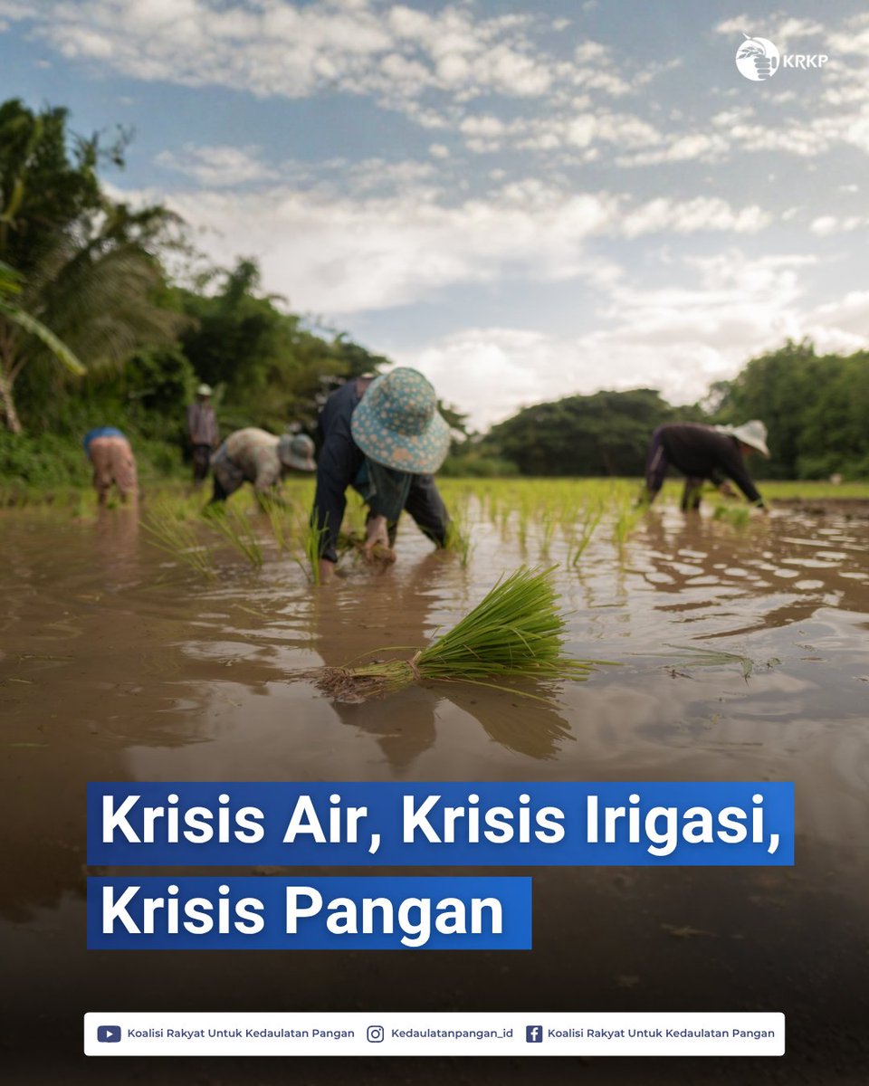 krkp_id's tweet photo. Pembaruan agraria bukan sekadar soal lahan.
Tanpa irigasi yang berfungsi,
akses hanya jadi janji
dan krisis pangan bukan lagi ancaman, tapi kenyataan.

#ReformaAgraria #KrisisPangan #KedaulatanPangan #KedaulatanPetani 

1/2 https://t.co/EhGHzjVRYQ