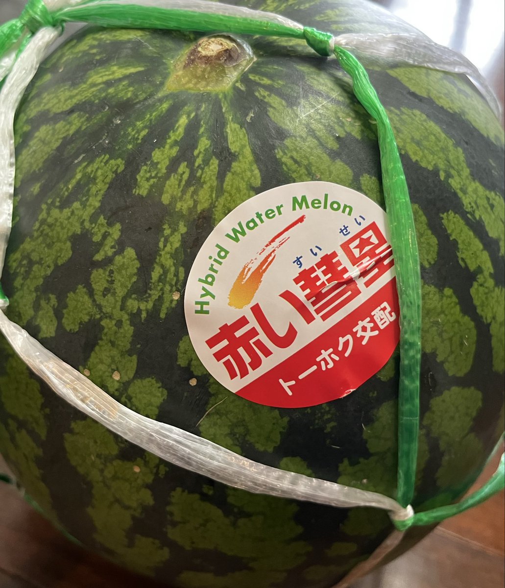 nekogacone's tweet photo. 暑さで頭痛に悩まされる日々😖
スイカ食べて元気出しましょ🍉
赤い彗星って名前が良いよね〜 https://t.co/lzvU6bQjjY