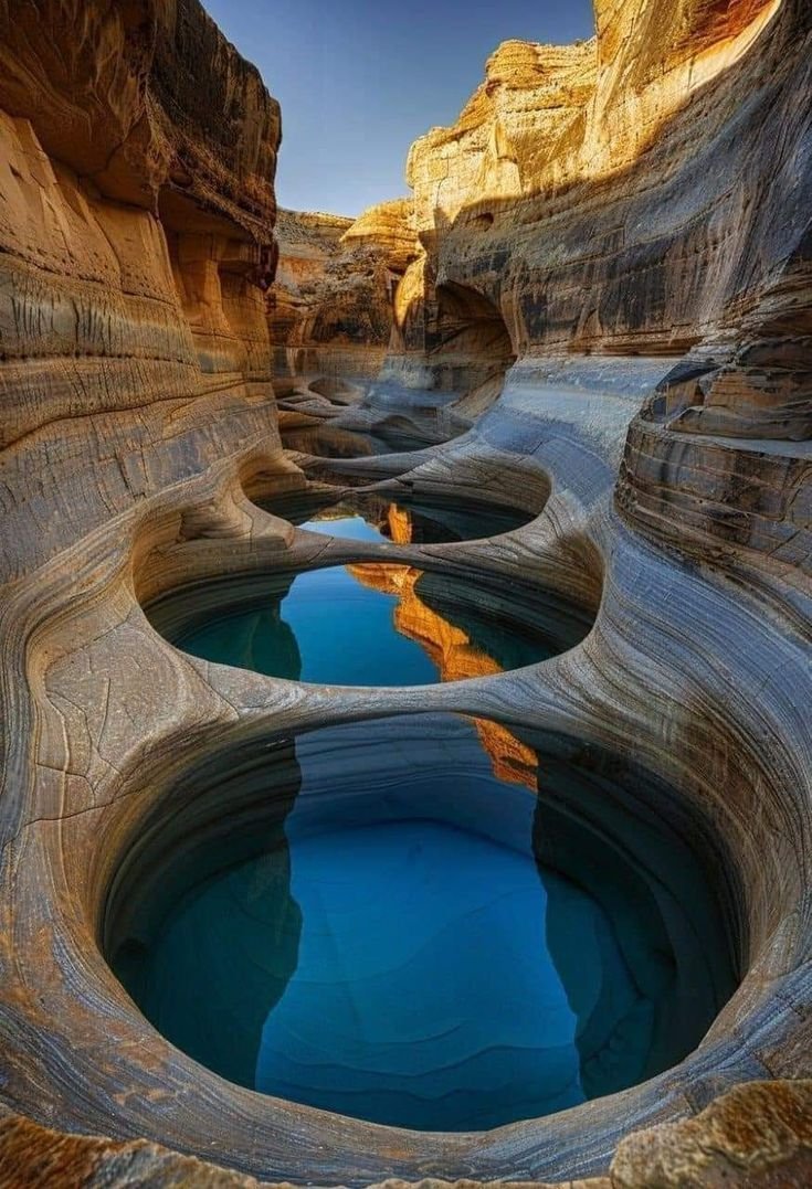 Beauty of Nature 🥀 tweet media
