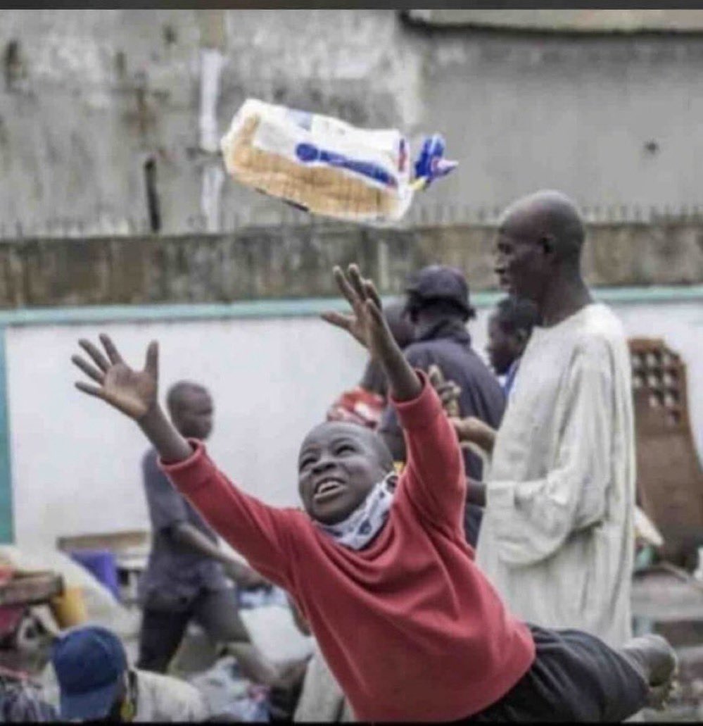 trigottista's tweet photo. Why is #WhereIsTinubu not trending? 

Na to dive bread una sabi https://t.co/DY3pFVS81c