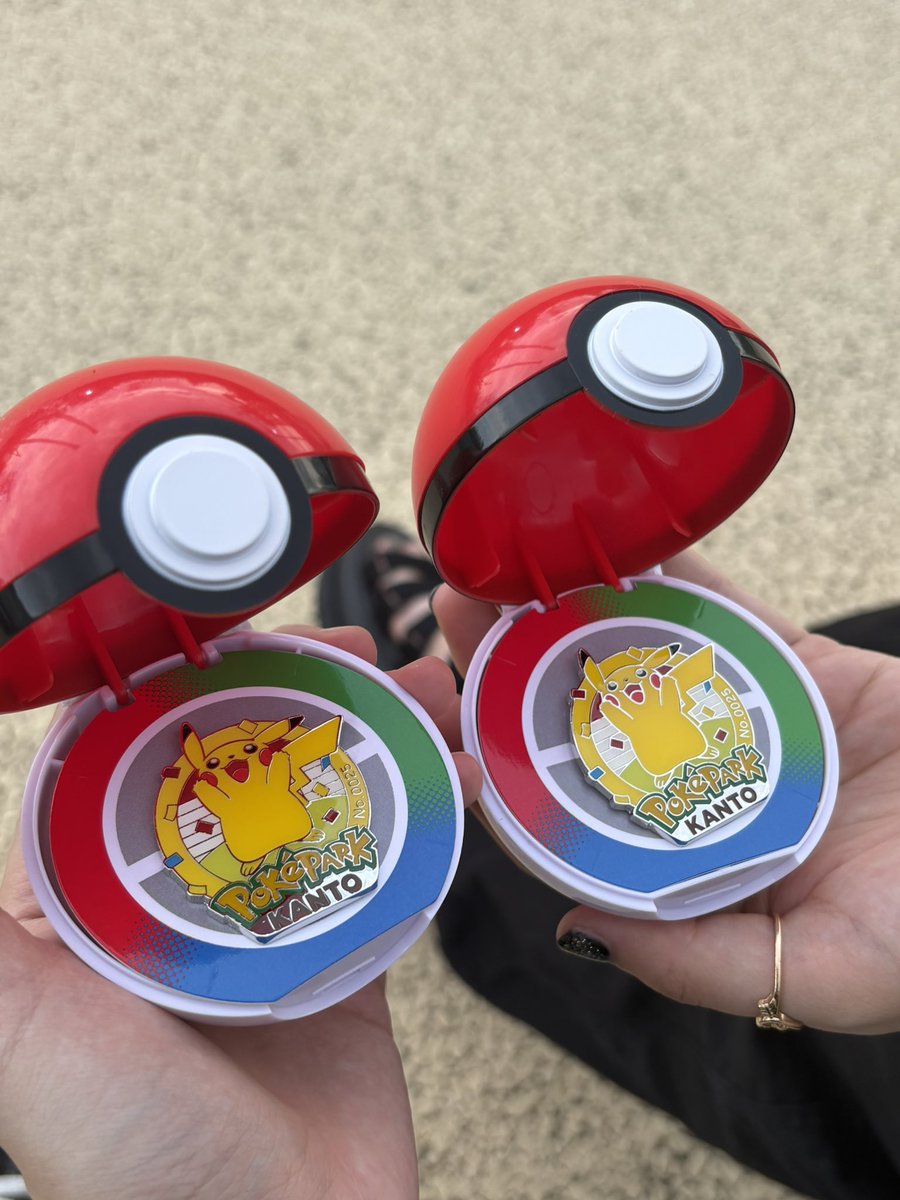 そういやポケパークカントーで例のピンバッジ買ってたんですがなんと