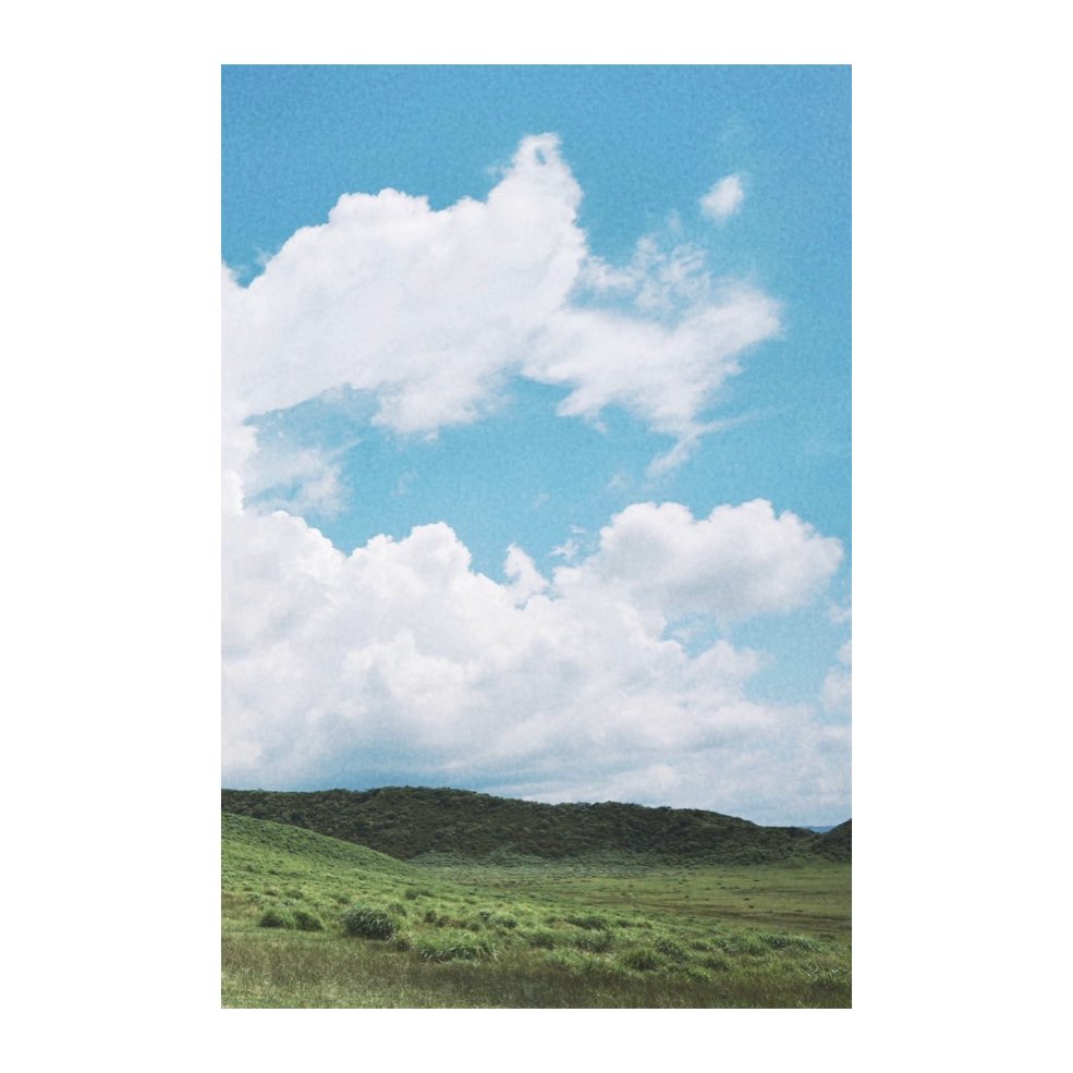 fuka_ohanashi's tweet photo. 緑と青。

この1ヶ月色んな事考えながらも、沢山の人達の写真を残せてたのしい。
夏は苦手だけど写真映えするのは夏だと思う。閑散期なのに、色んな方が見つけて声掛けてくれるのありがたい。

#ふちょふぉと
#ふちょのみどり
#ふちょのあおいろ https://t.co/FiosT9hPIF