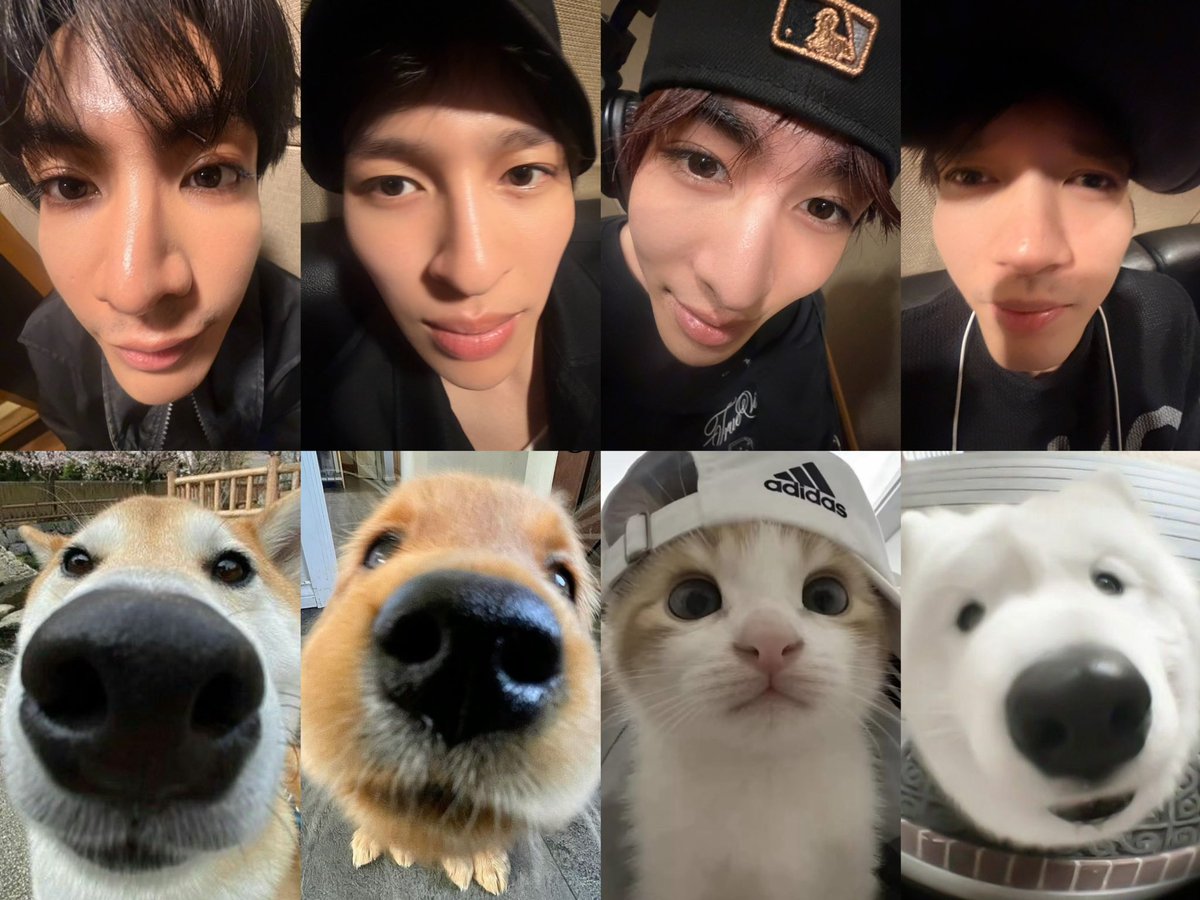 bunnybiboo's tweet photo. เหมือนเด๊ะ 555555566666655555555 https://t.co/jTmn4gptqj