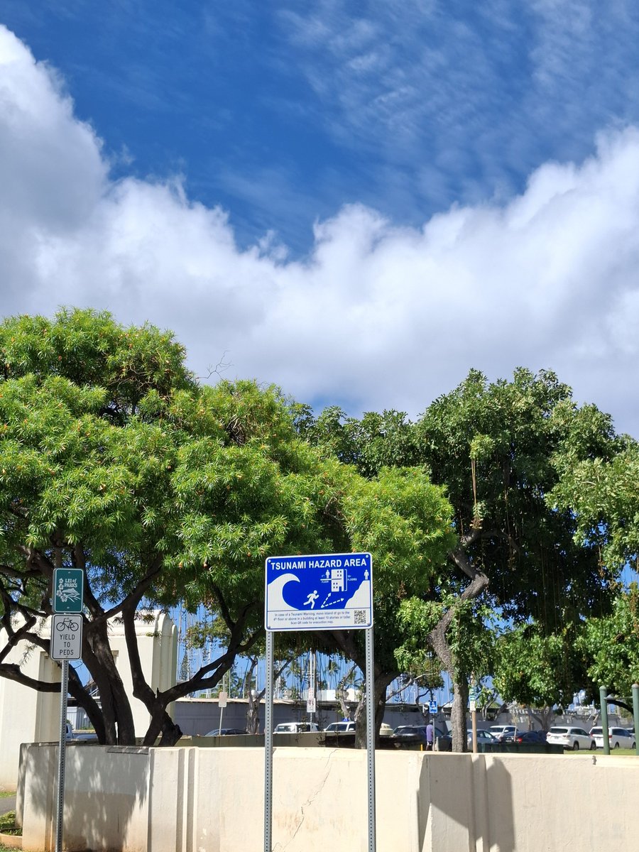 OgreModest's tweet photo. 津波／Tsunamiは

世界標準のことば

海水浴が増える時期

きれいな海で

ゆっくりしていても

揺れを感じたら

躊躇することなく

高い場所

若しくは

内陸部へ https://t.co/uUEEdZ8zQd