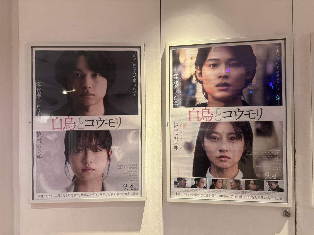 06110618_st's tweet photo. フライヤーをいただいて、公開がいよいよ現実味を帯びてきました🎬✨
あと少し。今日は静かに、この日が近づいてきたことを噛み締めます🦢🦇

#映画白鳥とコウモリ
#松村北斗 https://t.co/l7kPex7mBt