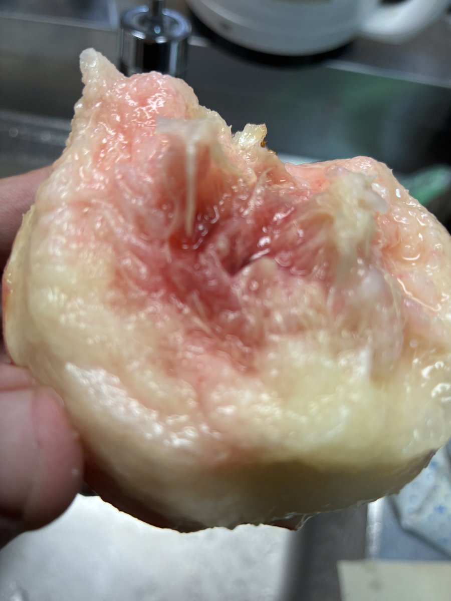 bonrouge2's tweet photo. 社長から桃🍑大量に貰った
丸かじりなんて小学生の頃以来だわ　めちゃくちゃジューシーで美味い😋
あと15個ある！やったー♪ https://t.co/v7FXRPYCcu