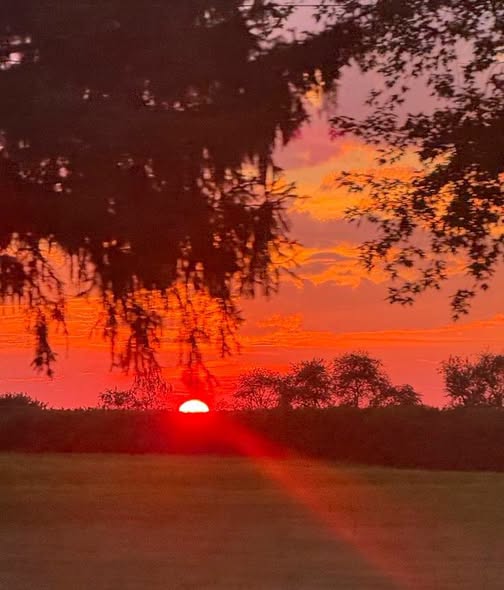 megh7280's tweet photo. Me and my never ending obsession with sunsets...📷📷📷 https://t.co/IuGhJb4E2Q