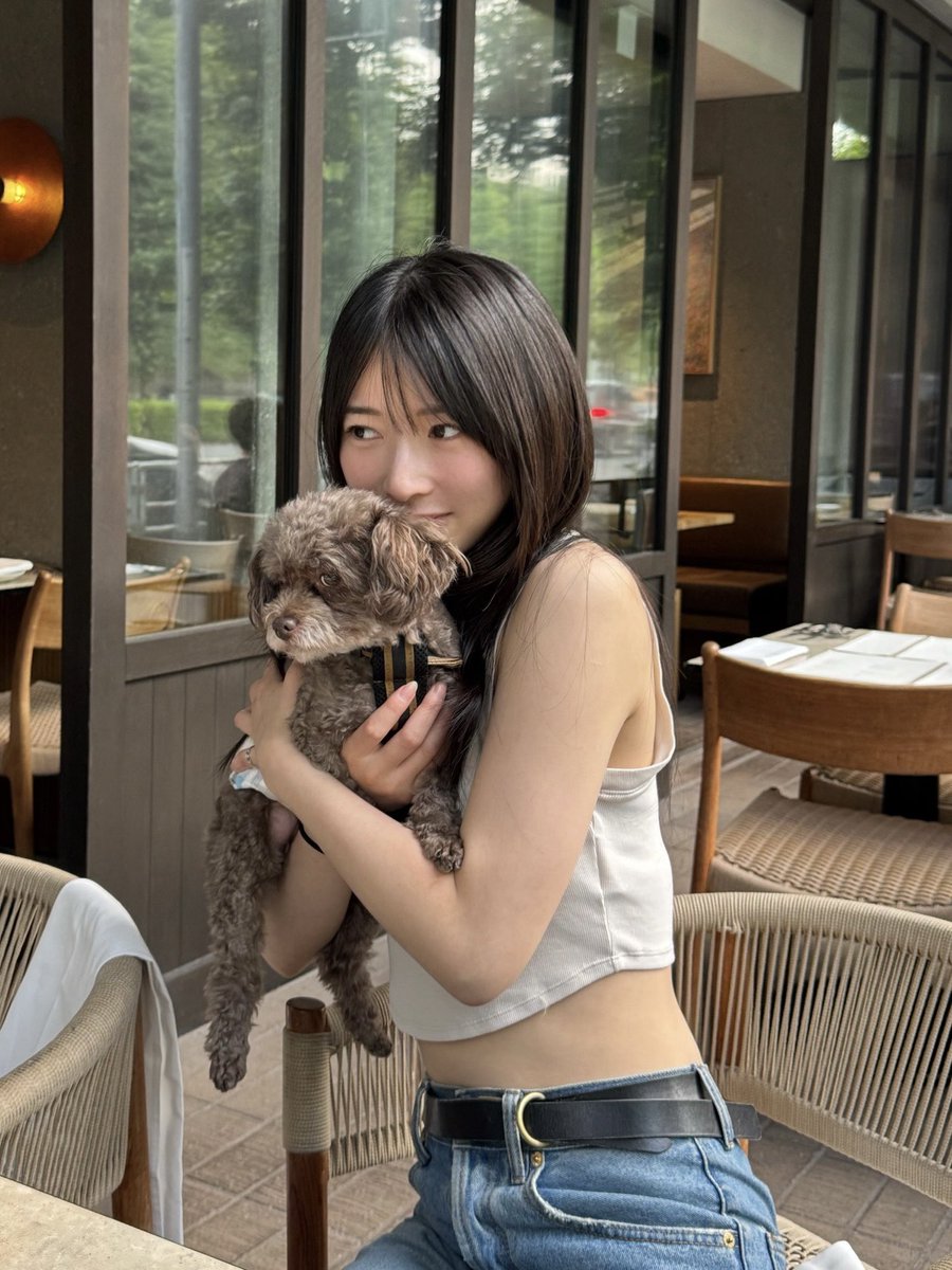 momocslr4's tweet photo. いっぬかわいいかわいいかわいい🐶 https://t.co/3VW1nx91zH