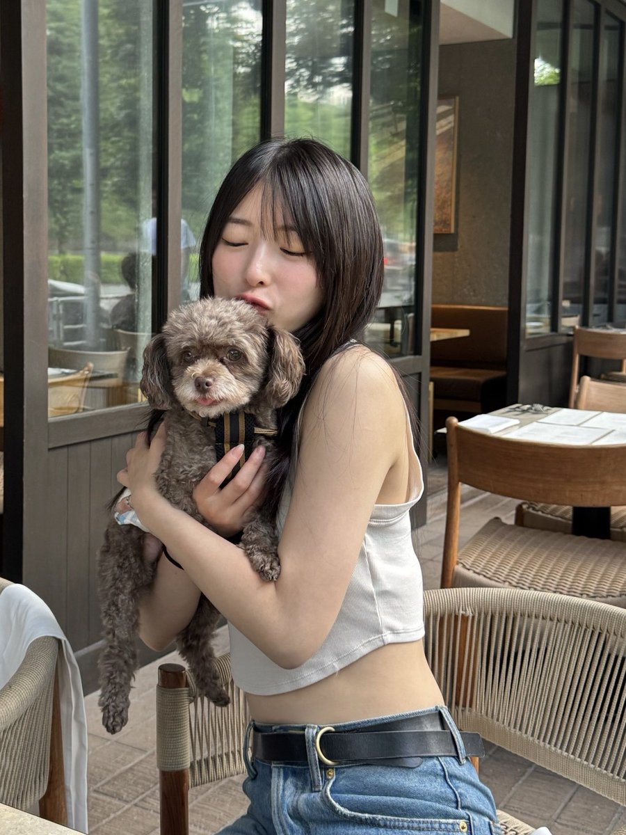 momocslr4's tweet photo. いっぬかわいいかわいいかわいい🐶 https://t.co/3VW1nx91zH