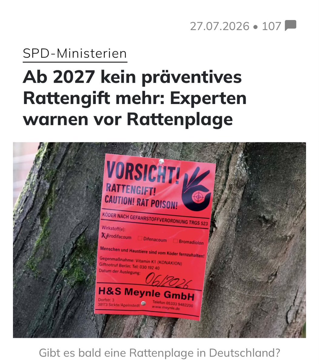 queru_lant's tweet photo. Deutschland droht eine ungeahnte Rattenplage. Die SPD-Minister Bärbel Bas und Carsten Schneider verbieten ab 2027 Präventiv-Rattengift.

Anstelle eines präventiven Gifteinsatzes setzen sie auf sogenanntes „integriertes Schädlingsmanagement“, bei dem Ratten zunächst mithilfe von Überwachungstechnik aufgespürt und überwacht werden.