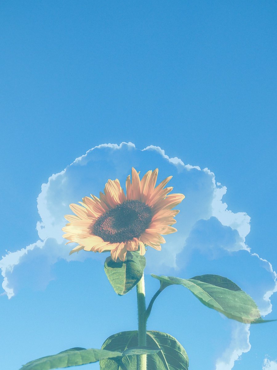 ln2119's tweet photo. 記憶の中はいつも夏の匂いがする。 https://t.co/6cJ4GkWzFw