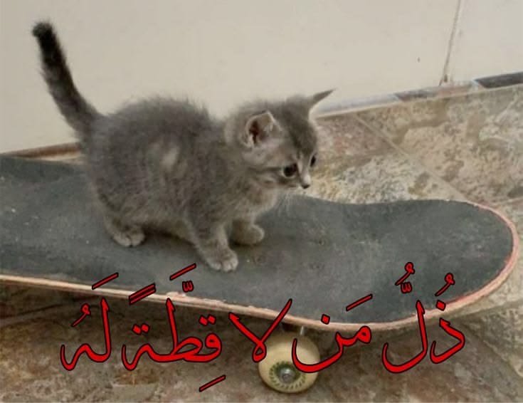 محمد | المخلَّل🥀 tweet media
