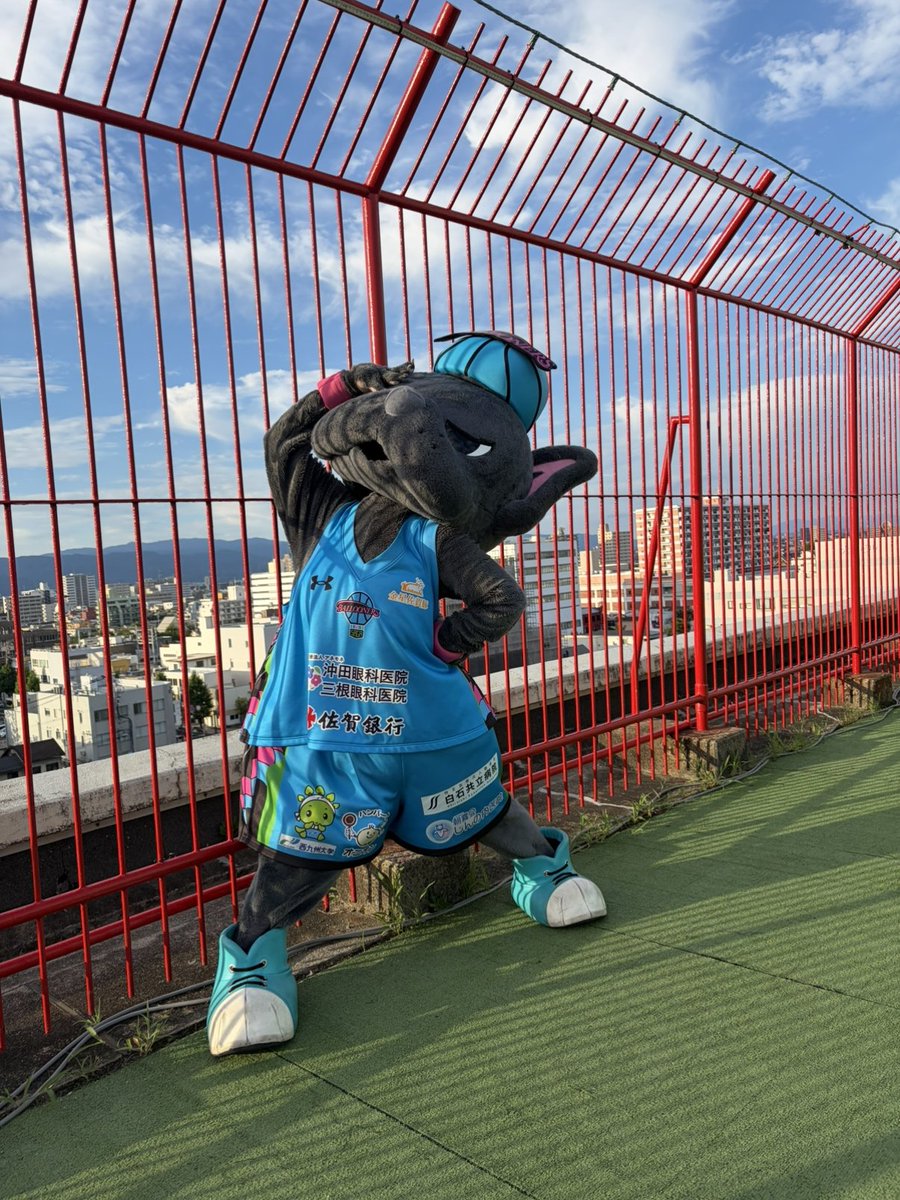 baltan0423's tweet photo. ほかにもいろいろポージングしてみたバル。みんなやったらどげんか表紙にするー？ https://t.co/AfOYyHr48E