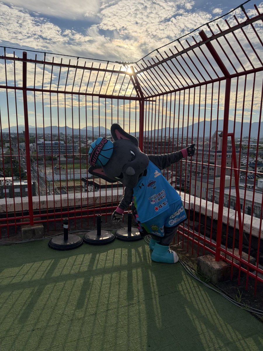 baltan0423's tweet photo. ほかにもいろいろポージングしてみたバル。みんなやったらどげんか表紙にするー？ https://t.co/AfOYyHr48E