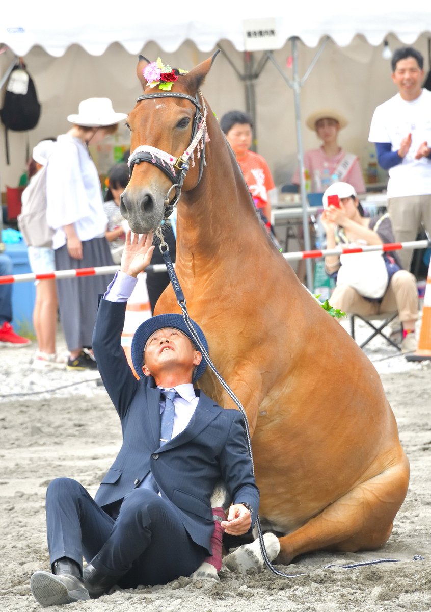 suzuma555's tweet photo. ディオス君と富塚さん仲良く一緒にお座り🐴💺
#うらかわ馬フェスタ https://t.co/uyB8DOe5fA