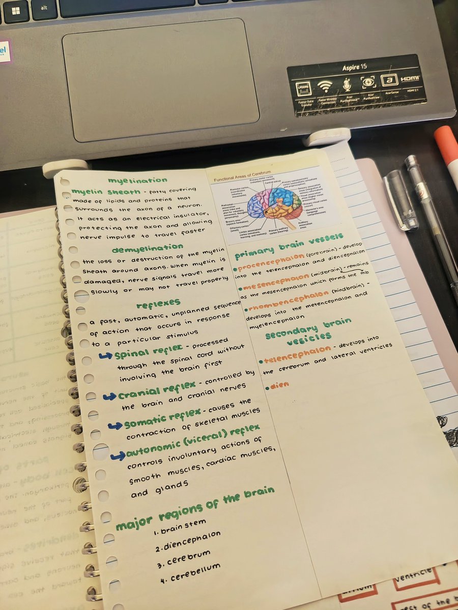 liavelunee's tweet photo. ೀ⊹ ࣪ [weekly log🍁🦢]

First week done! Anatomy and Physiology's kinda drilling my brain already + those pre-lecture and post-lecture quizzes😵‍💫 hopefully, I'll survive this school year without failing any course (pls pls pls) https://t.co/6n8yxaAlit