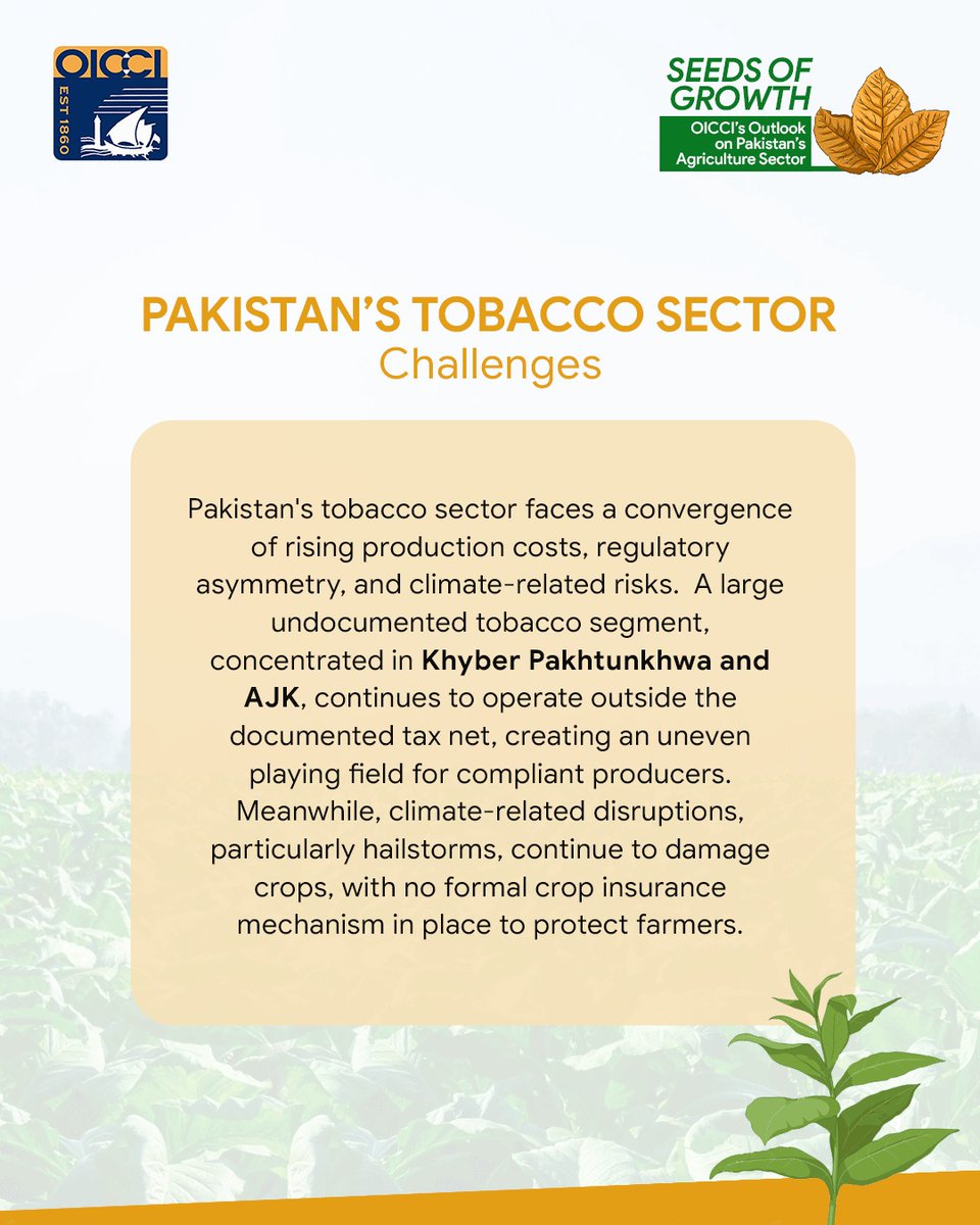 tobacco crop insurance Revenue Protection Dominates Coverage Tobacco farmers cry- foul over