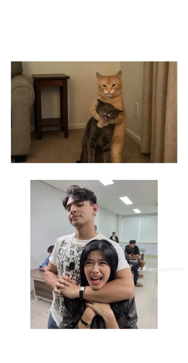 eiychandesu's tweet photo. HARQEEL????? FINALLY MARKETING BACK https://t.co/5hjlbVThYK