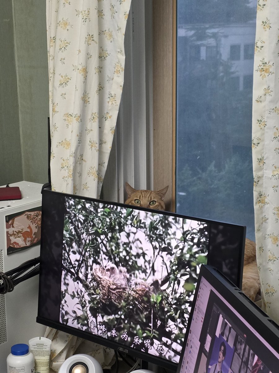 uoongnya's tweet photo. 지켜봄 https://t.co/6Q9GtzhDmv