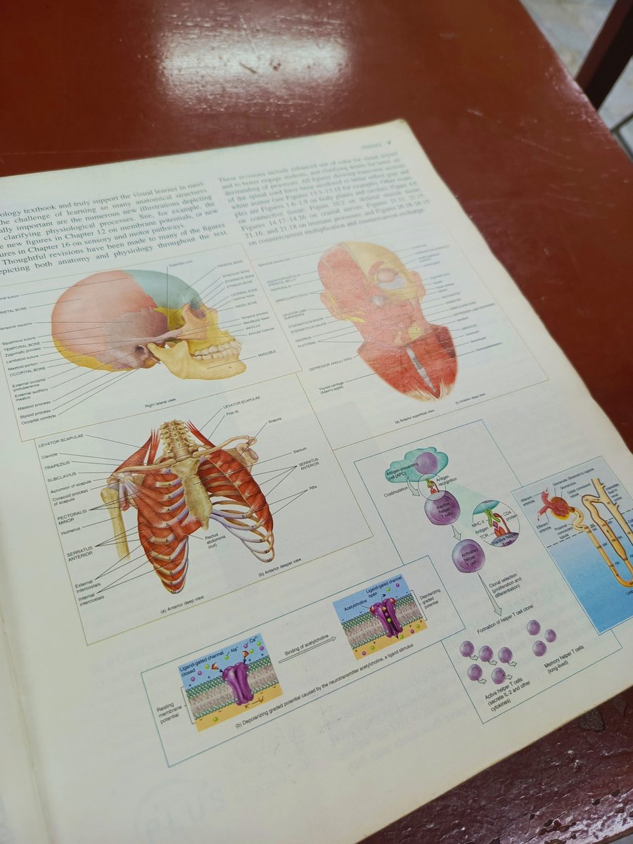 liavelunee's tweet photo. ೀ⊹ ࣪ [weekly log🍁🦢]

First week done! Anatomy and Physiology's kinda drilling my brain already + those pre-lecture and post-lecture quizzes😵‍💫 hopefully, I'll survive this school year without failing any course (pls pls pls) https://t.co/6n8yxaAlit