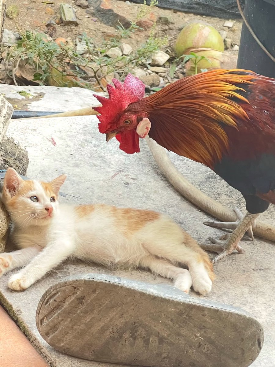 bebekhermes's tweet photo. tebak mereka lagi ngomongin apa? https://t.co/3YxwtxOvi5