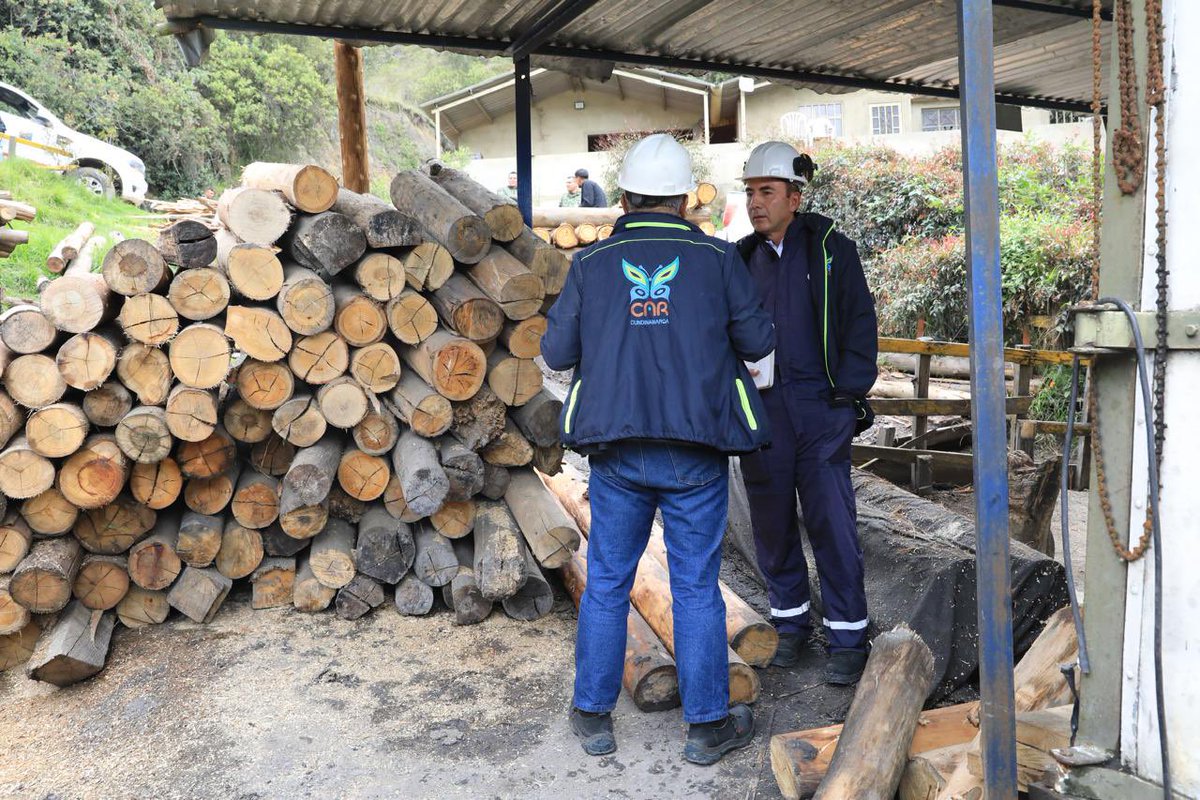 Alfred_Balle's tweet photo. Cuando se afecta un bosque, una ronda hídrica o un ecosistema, las consecuencias van mucho más allá de lo que podemos ver. También se pierden servicios esenciales, como la regulación del agua, la captura de carbono y la calidad del aire.

Por eso, en la @CAR_Cundi calculamos el valor económico de los daños ambientales para dimensionar sus impactos y aportar herramientas técnicas que permitan avanzar en su reparación y restauración. A la fecha, hemos elaborado más de 100 informes de valoración económica ambiental que contribuyen a la defensa de nuestros recursos naturales y ecosistemas.