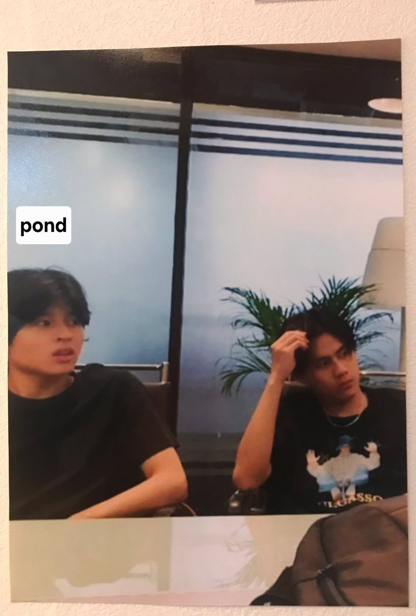 phoebe o nya omega🐺 tweet media