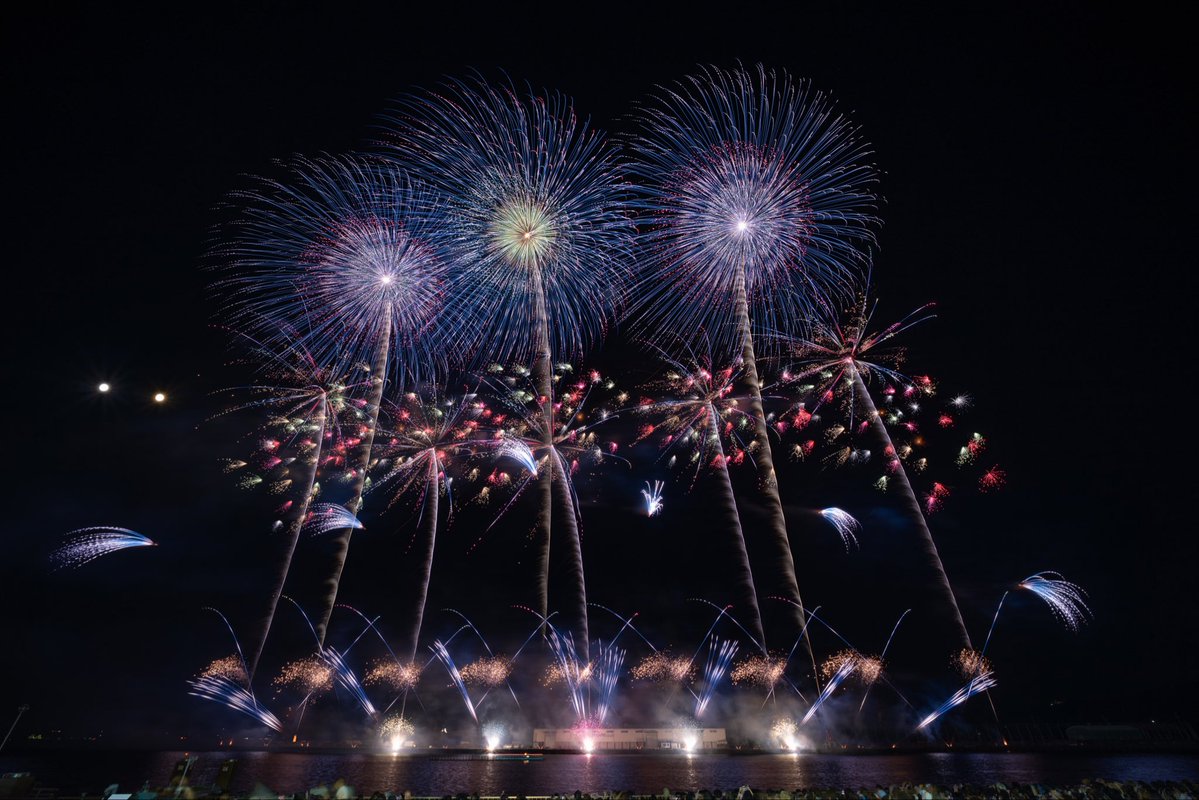 F🎇(絶賛就活中) tweet media