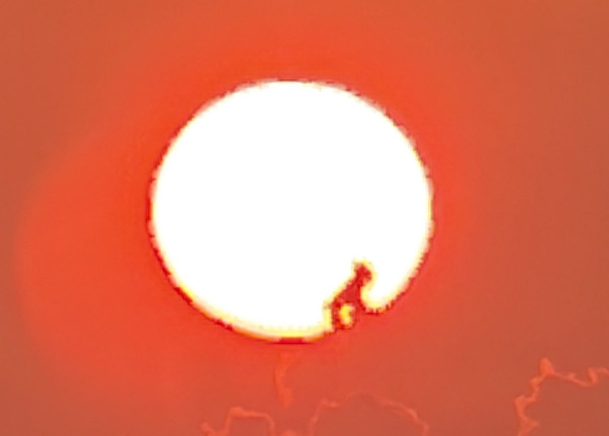 YutakaNagakubo's tweet photo. 関空の夕陽ですが。太陽の中に誰かいる⁉️いま、気がついた。明日は東京ドームでオールスターです。 https://t.co/p550Ytgy5m