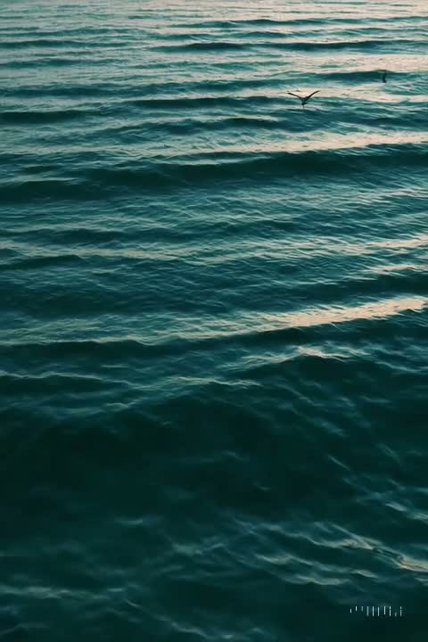 EffYuhPayMe's tweet photo. Stay aware of your breath https://t.co/cL3b4WPZ0v