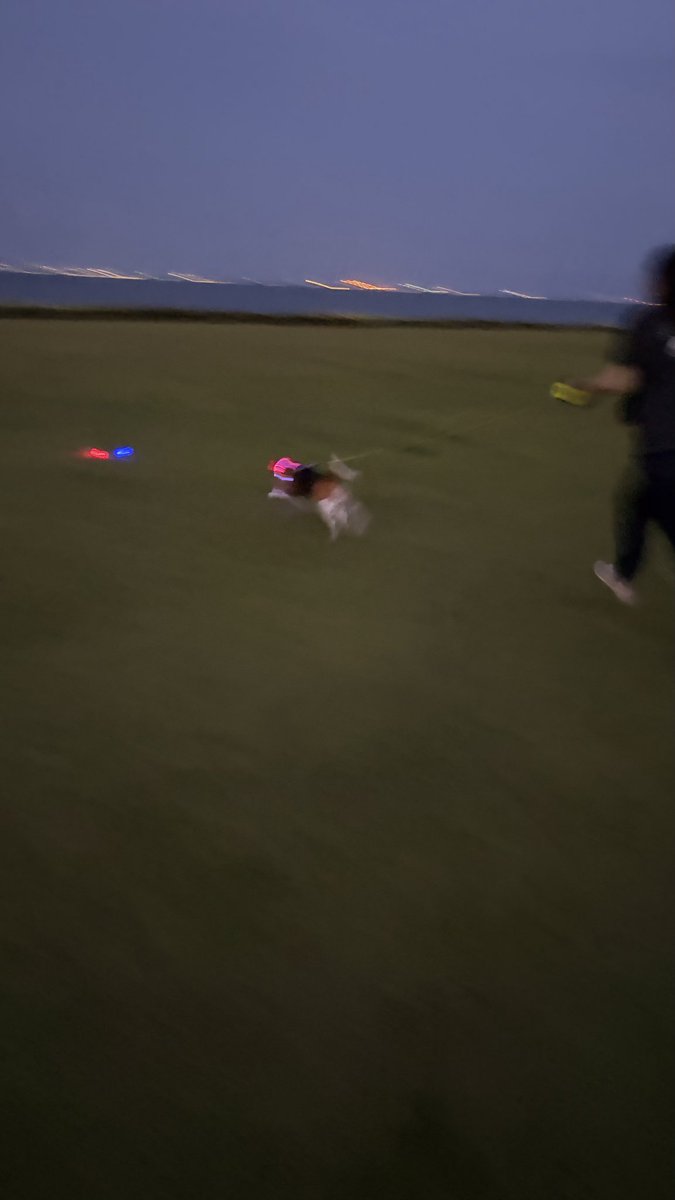 notshuttle's tweet photo. 涼しいので接待 https://t.co/G4hCIIWnpK