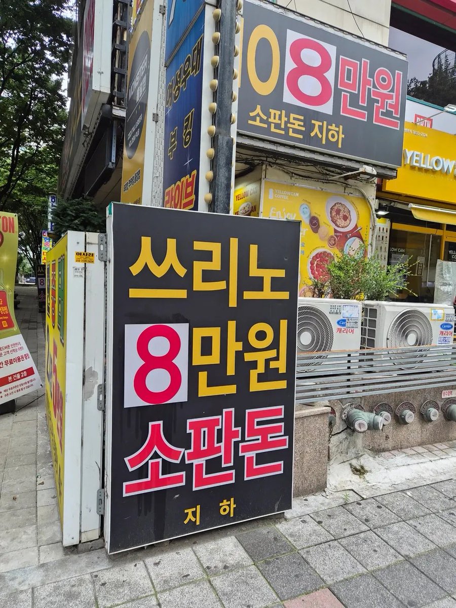 캣츠파파 tweet media
