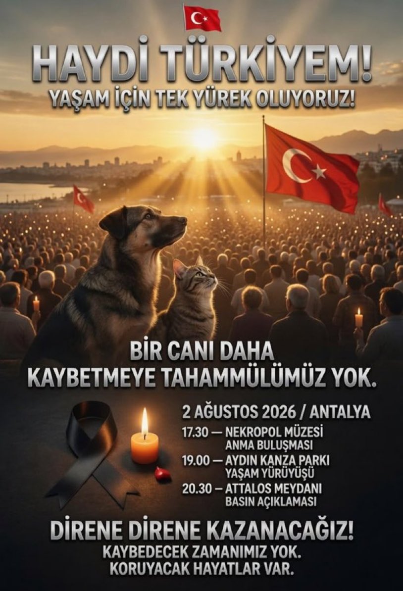Serap Ulusoy 🦋 tweet media