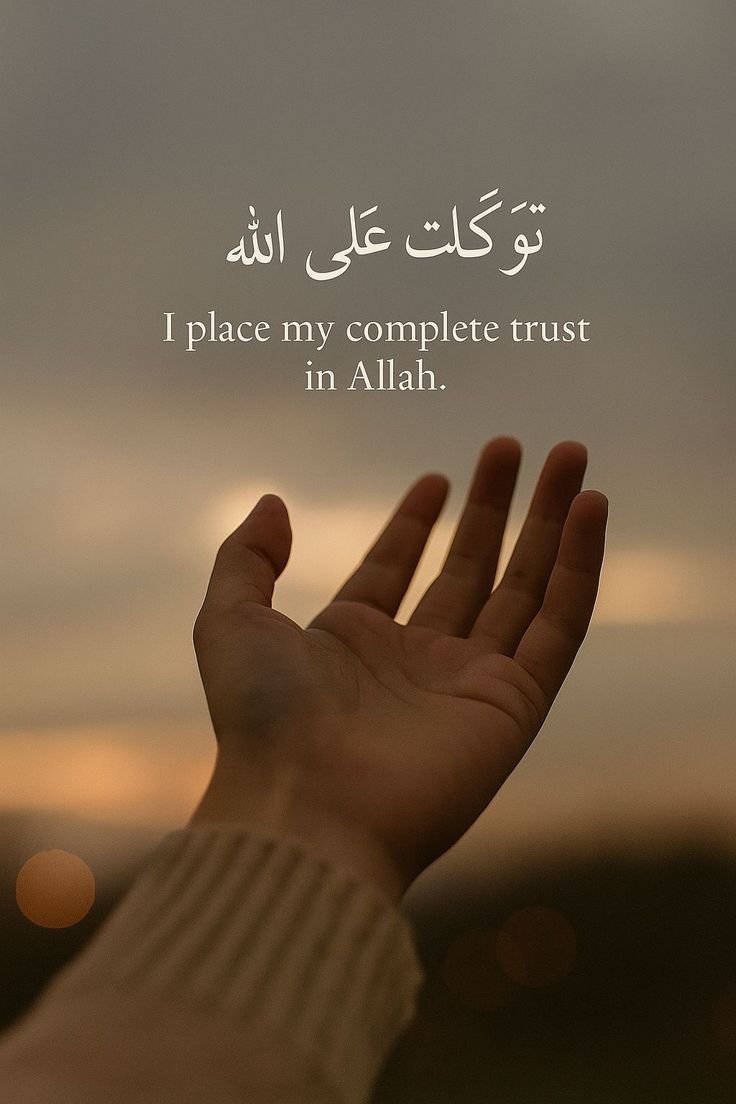 Alhamdulilla17's tweet photo. https://t.co/uYFILudR14