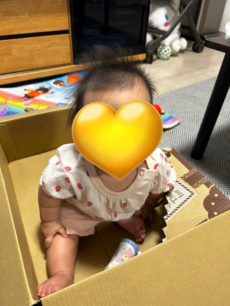 10bo72ok's tweet photo. 箱入り娘 https://t.co/LKqfIqmW3C