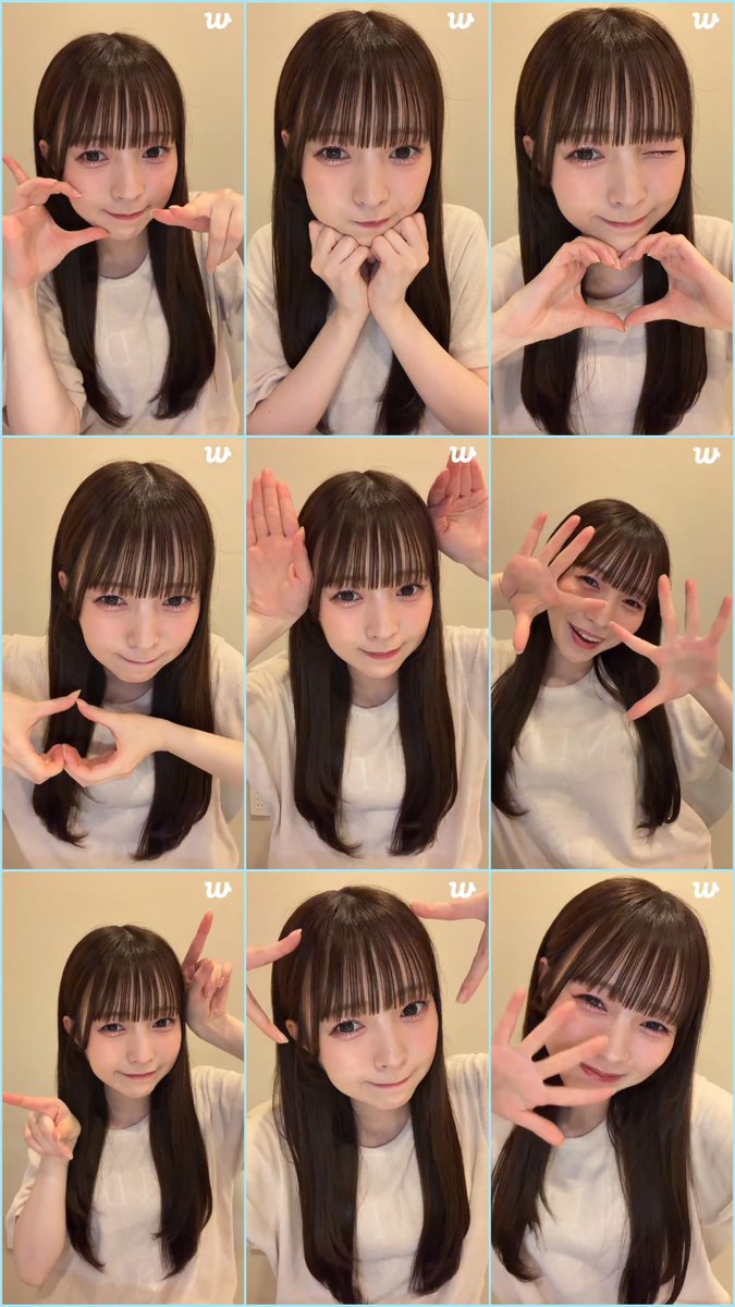 Pingu(ピングー)🐧 tweet media