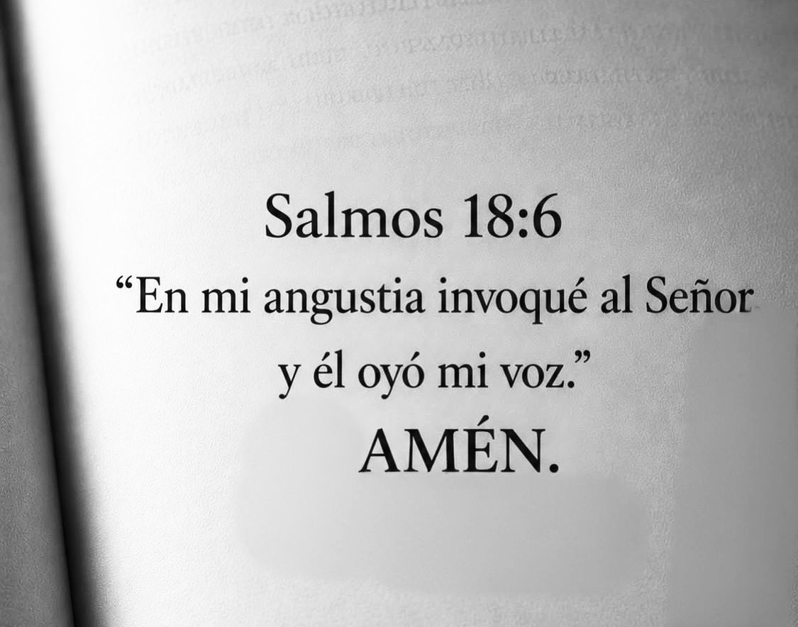 diosenletras's tweet photo. https://t.co/KRznUDWUrx