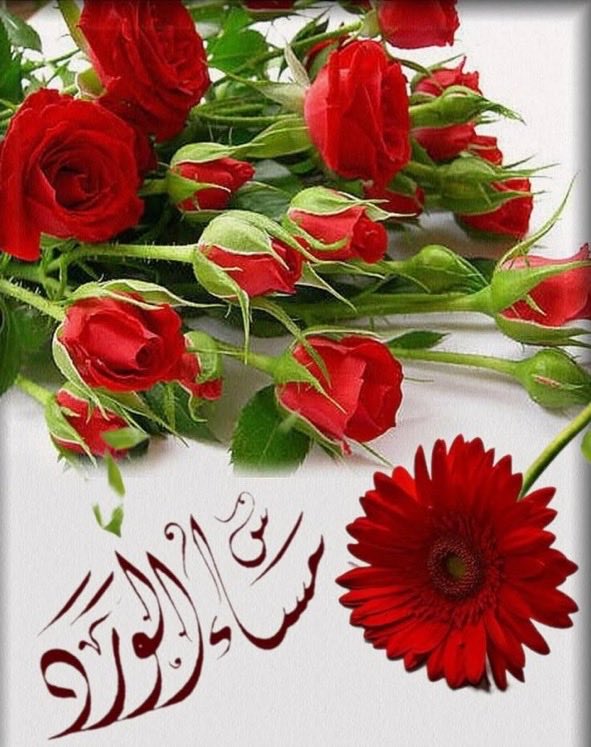 TAHAf40's tweet photo. @0DZe6OMwPLXpiNR https://t.co/0B0lmq6IWg
