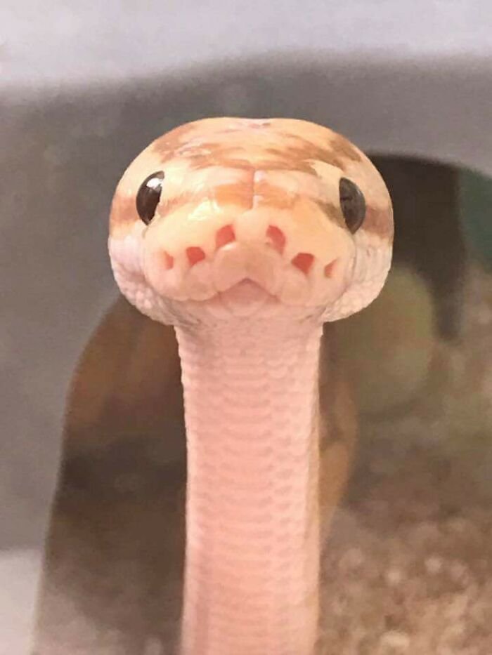 sideeves's tweet photo. é eu tenho muitos sonhos https://t.co/DcCNQ1u55s