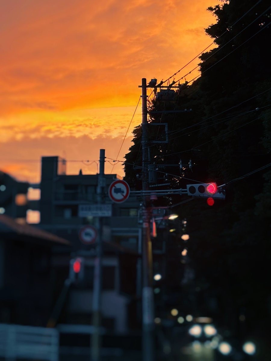 SotoNewworld's tweet photo. 家路 https://t.co/kQIRqeH6nI