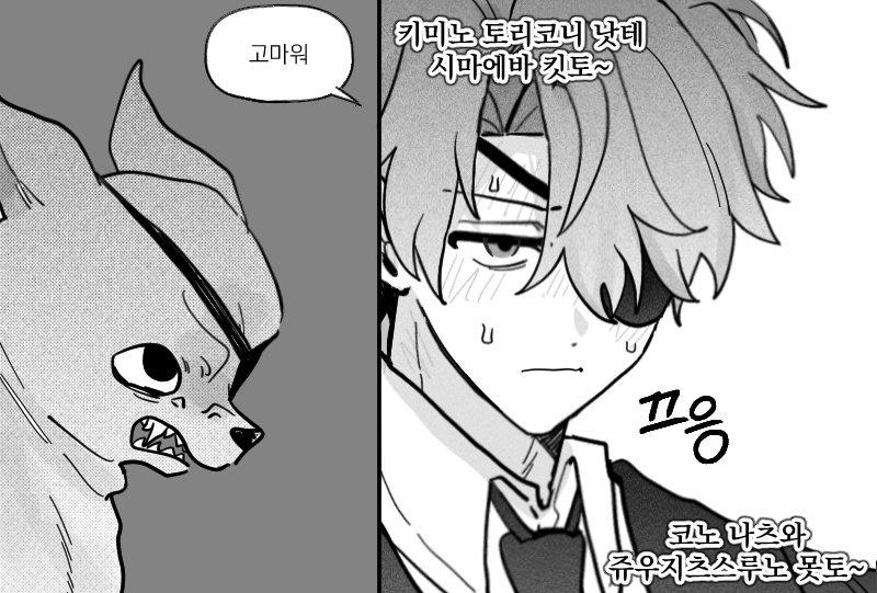 댕댕이 tweet media