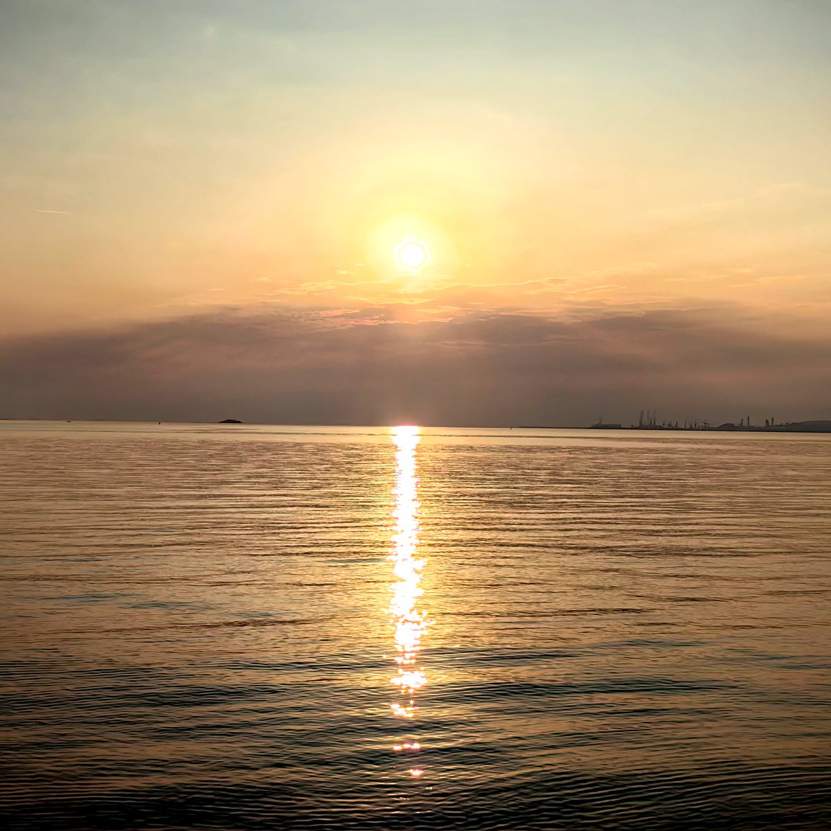 tmdrbcjswl's tweet photo. Woke up early and hit the road for a day trip to the coastal town—sunrise over the pier, salt air in my hair, perfect start to the weekend!， https://t.co/Aez63aGmAY